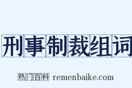 刑事制裁组词是什么意思的图片
